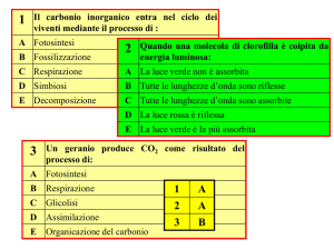 Presentazione di PowerPoint