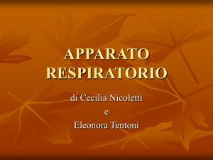 La respirazione