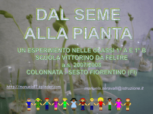 dal seme alla pianta