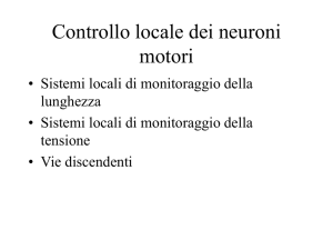 ppt - UniBa