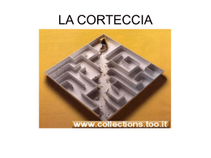 aree di associazione