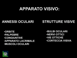Presentazione di PowerPoint