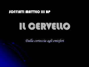 lAVORO_COMPRESENZA