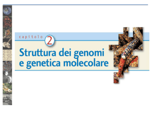 genoma