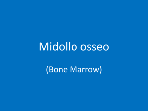 Diapositiva 1