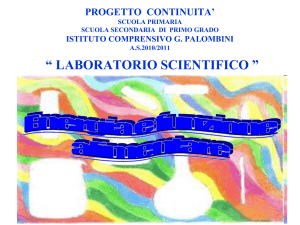I PRINCIPI NUTRITIVI Scuola Primaria-Scuola