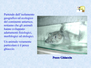 Nessun titolo diapositiva - ITIS Cannizzaro Colleferro