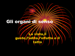Gli organi di senso
