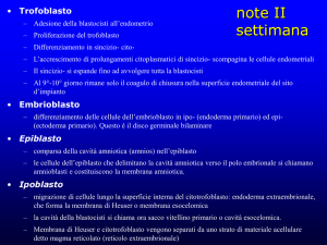 seconda settimana