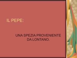 sanscrito che