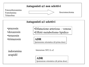 Presentazione di PowerPoint