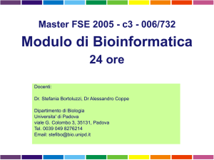 Presentazione di PowerPoint