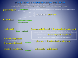 Digestione e assorbi..