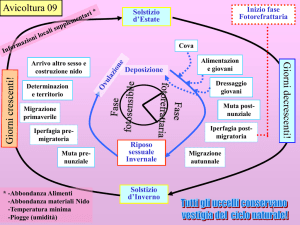 Riproduzione e ovulazione