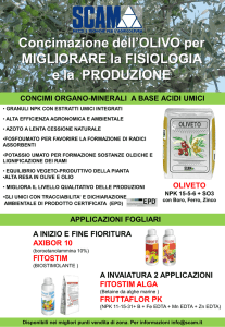 Diapositiva 1