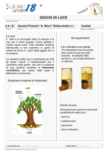 Presentazione di PowerPoint