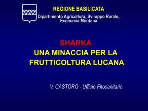 Presentazione di PowerPoint