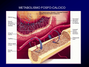 Diapositiva 1