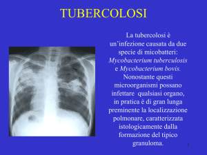 Infezioni da Micobatteri - Sezione di Microbiologia