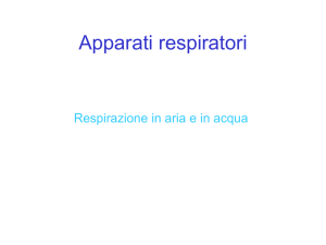 ppt - UniBa