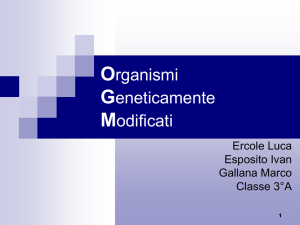 Organismi Geneticamente Modificati
