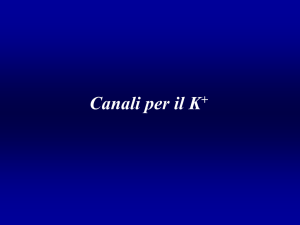 8 Canali del K