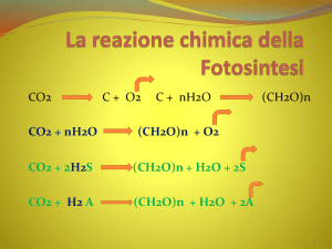 La reazione chimica della Fotosintesi