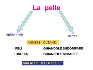 La pelle - Salesiani Cibali