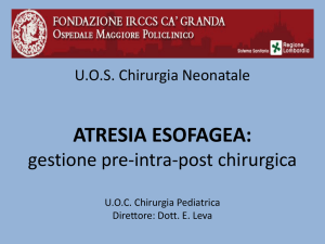 Dr. Leva II incontro 2016
