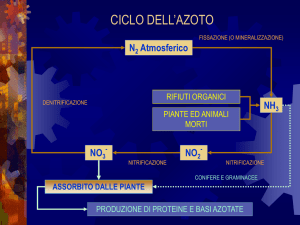 Ciclo dell`azoto
