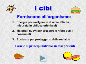 Presentazione di PowerPoint