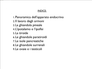L`apparato endocrino