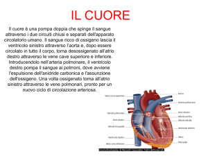 il cuore - dallelaste
