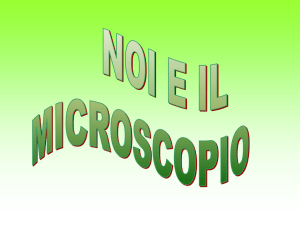 Presentazione di PowerPoint