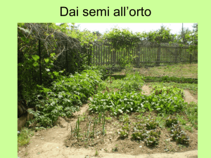 Dai semi all`orto