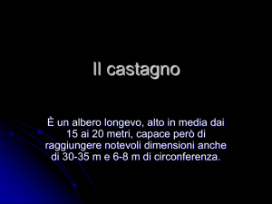 fusto, foglie, fiore, frutto