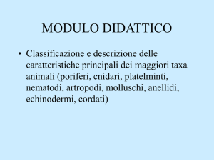Presentazione di PowerPoint