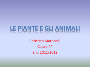 LE PIANTE E GLI ANIMALI^