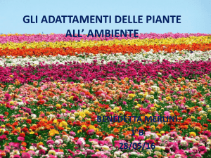Adattamenti delle piante all'ambiente: presentazione didattica