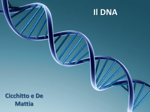 Il DNA