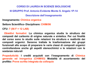 Presentazione di PowerPoint
