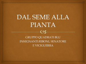Dal seme alla pianta - Istituto Comprensivo di Cadeo e Pontenure