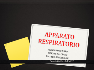 APPARATO RESPIRATORIO