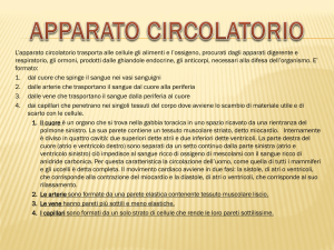 APPARATO CIRCOLATORIO