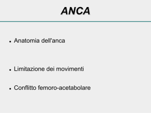 RAL_Anca