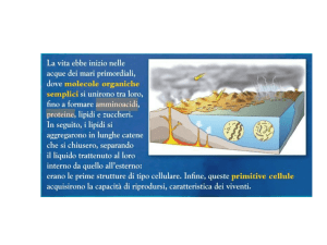 primo incontro SE CI FOSSE UN`ALTRA VITA