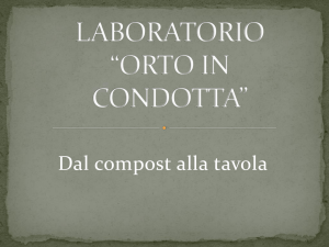 allegato-3_la-germinazione