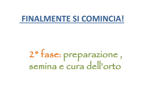 Cura dell`orto