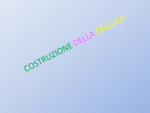 COSTRUZIONE DELLA CELLULA
