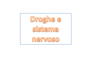 Droghe - WordPress.com